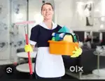 Need maid for cook and clean