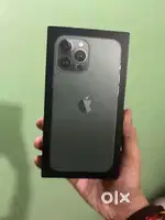 13 pro max Alpine green colour