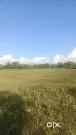 1Bigha- 5Bigha Land available for sale Near Sharishahat ashram more