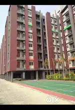 New Ready Flat