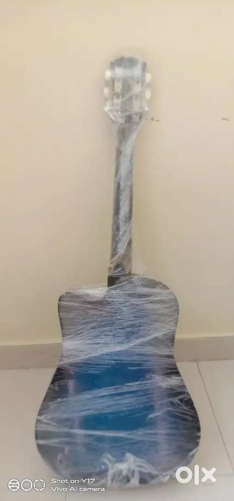 Guitar guitar