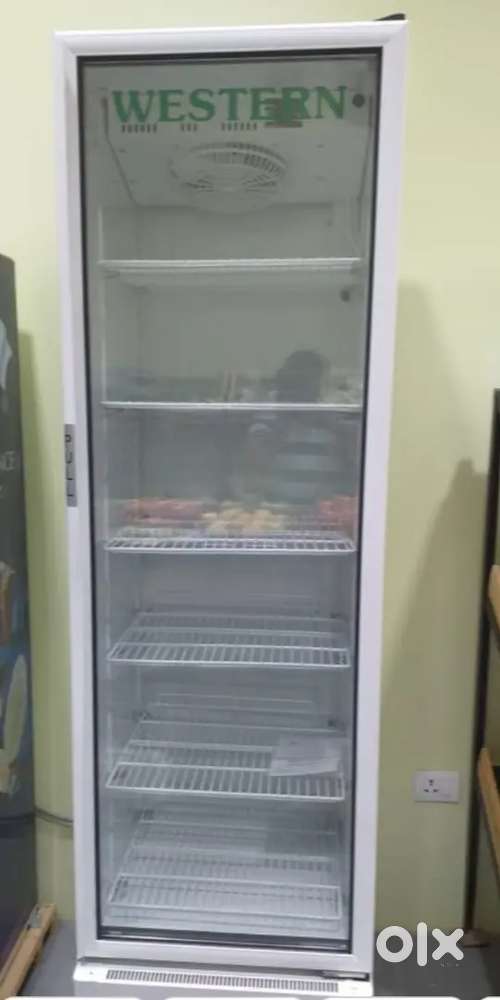 Single door fridge with glass