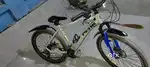 1 year old cycle