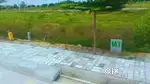 Premium plots