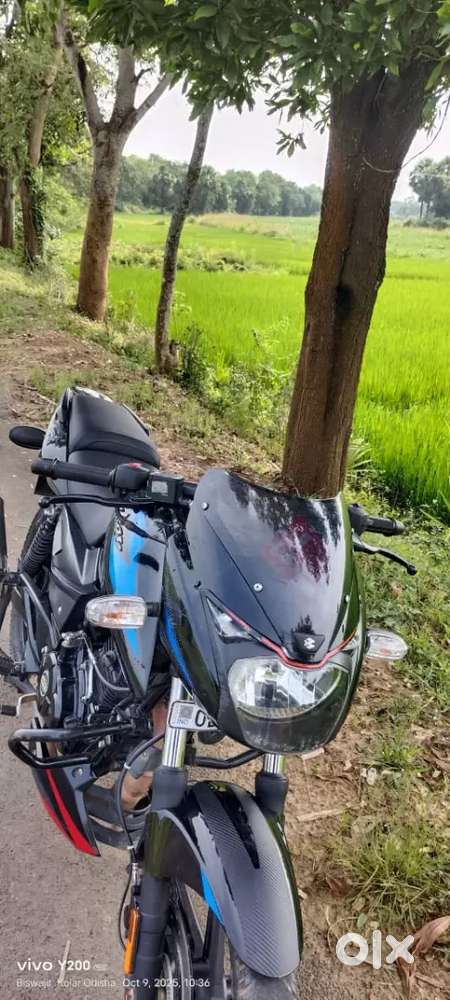 Pulsar 150 twin disc dual chanel ABS  very good Condticion for sell