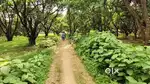 माता रानी की जगराता नवरात्रि में अपना जमीन लेने का सौदा पक्का करे