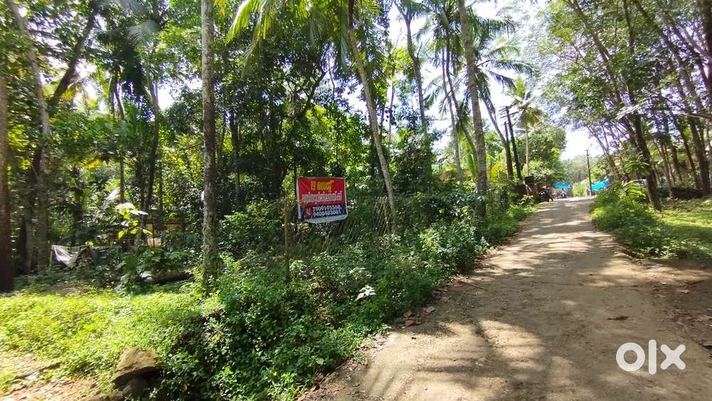 Residential Plot For Sale near Vellanad Junction