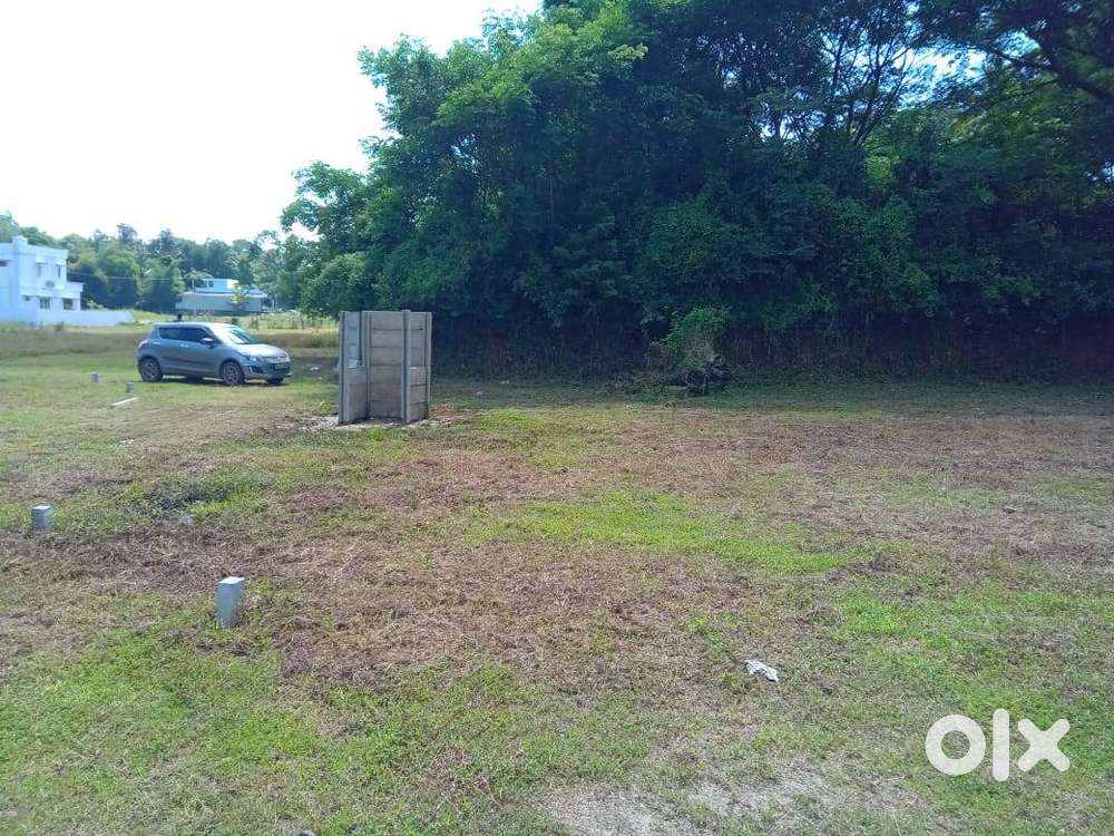 Fabulous offer for house plots are available near Mannathkavu