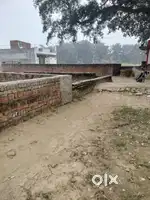 Pisaur   shivpur