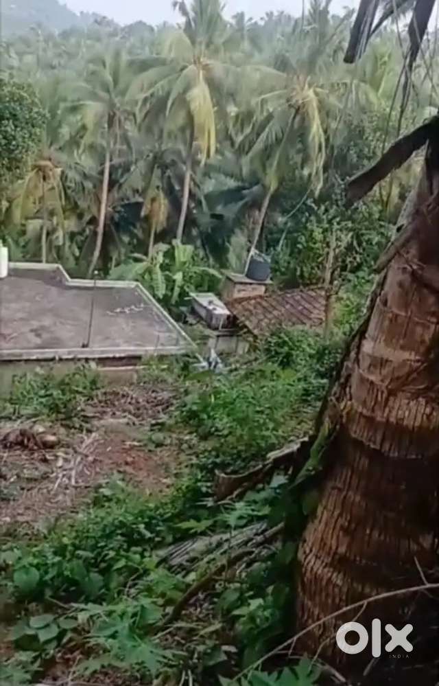 വീടും സ്ഥലവും വില്പനക്ക് (anangoor)