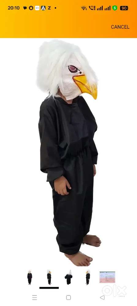 Jatayu costume - 9 to 10 year boy