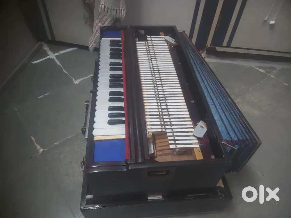 Mel mel female calkataa made 9 scalchangar harmuniyam