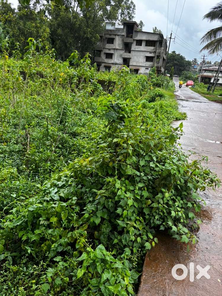 Na with from no 3 8.75 gunta shreenagar sirsi