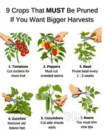 Plant and animal care at your home
