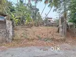 12 CENTS COMMERCIAL PLOT PARAMBU FOR SALE@PUTHIYAPALAM,CHATHAPURAM