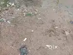 for sell plot