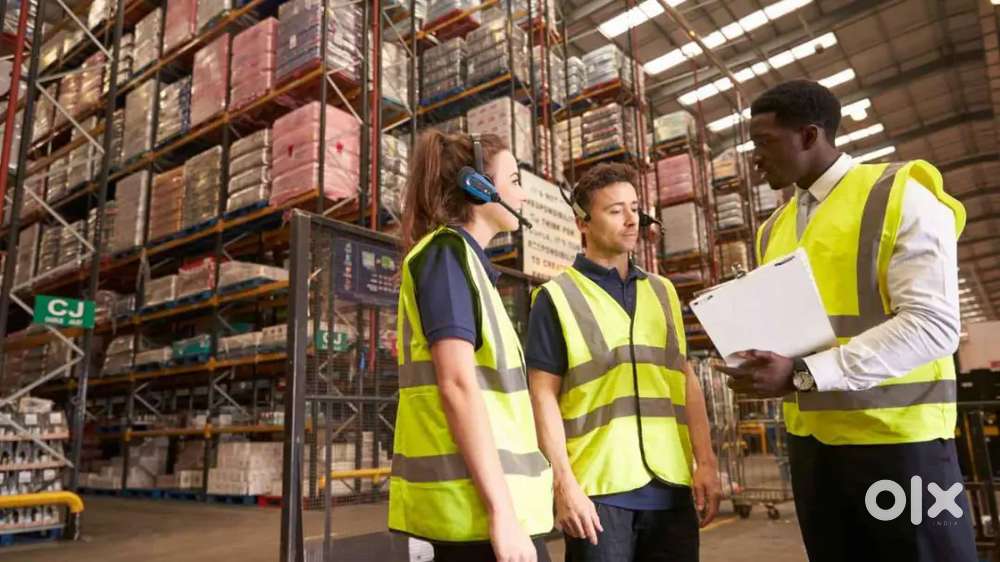 Hiring jents and ladies for warehouse,also fresher's can apply