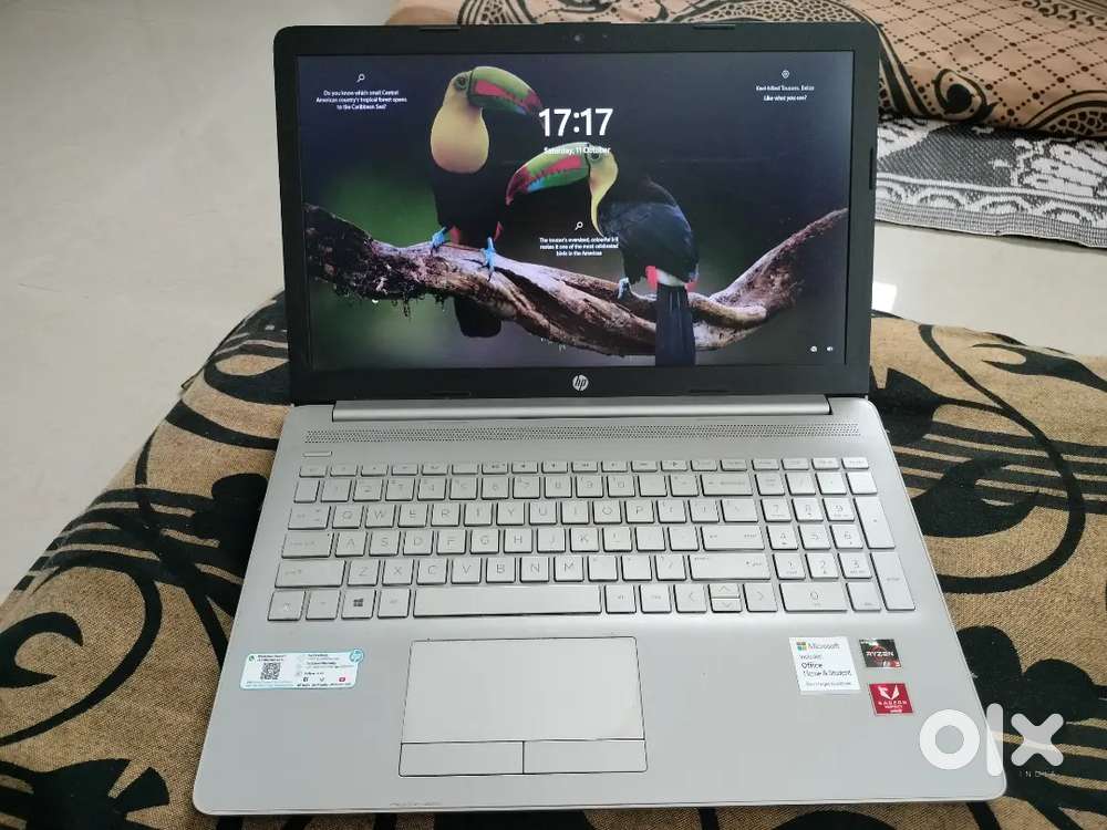 HP Laptop (AMD Ryzen 3 3300U with Radeon Vega Mobile Gfx)