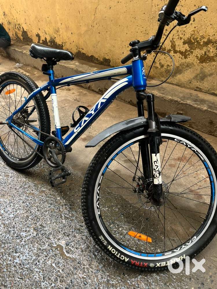 caya sports cycle with double disc brake and fat tires