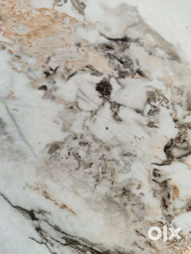 Multi cuisine chef for your number restro