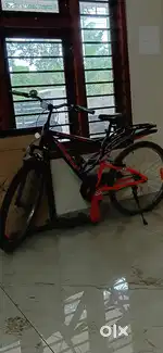 new cylcle