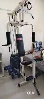 FitLine - Fitness Gym Set-up