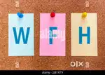 THIS WORK FROM HOME