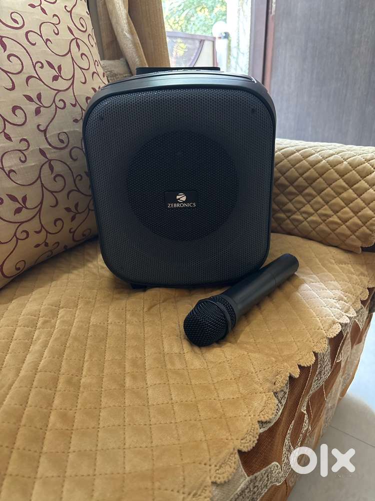 Karaoke speekar or mic