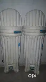 Cricket kit