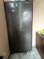 Goorej for sale