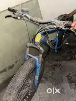 Big tyres cycle