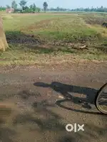 Land in naubatpur on 40 ft pitch road