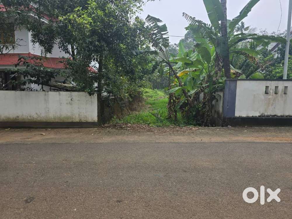 House Plot for Sale @ Mattoor, Marottichodu – 12 Cents