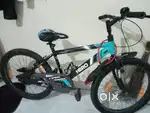 Best cycle Hero viper