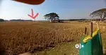 Landsale123