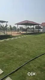 AT RUDRARAM NEAR GITAM UNIVERSITY GLOBAL CITY 6 HMDA APVED OPEN PLOTS