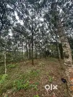 2.2 Acre land