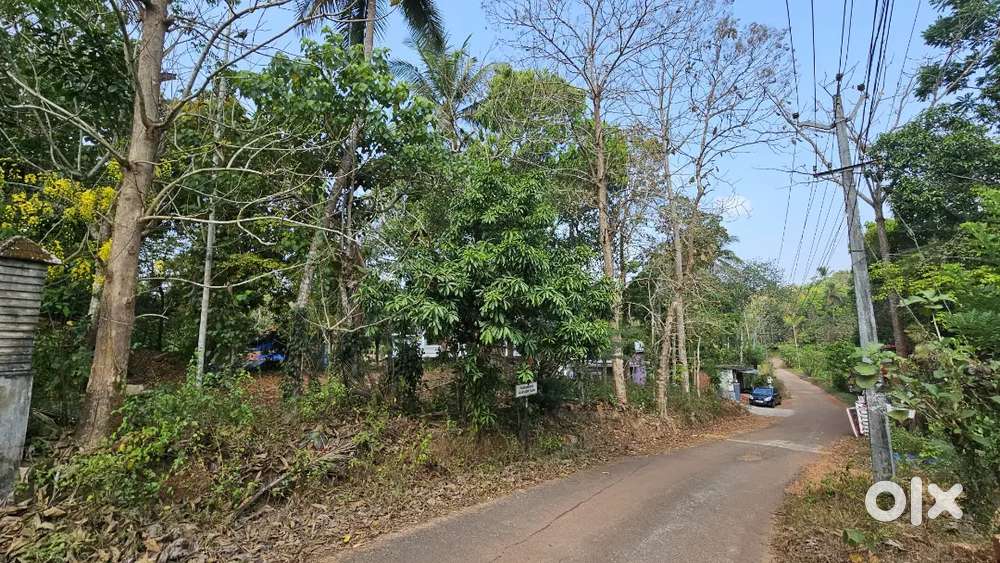 Residential land for sale - 28.5 cent plot at kuttiyatoor kararamba