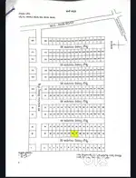 2 plots Highway 1 plot petaru