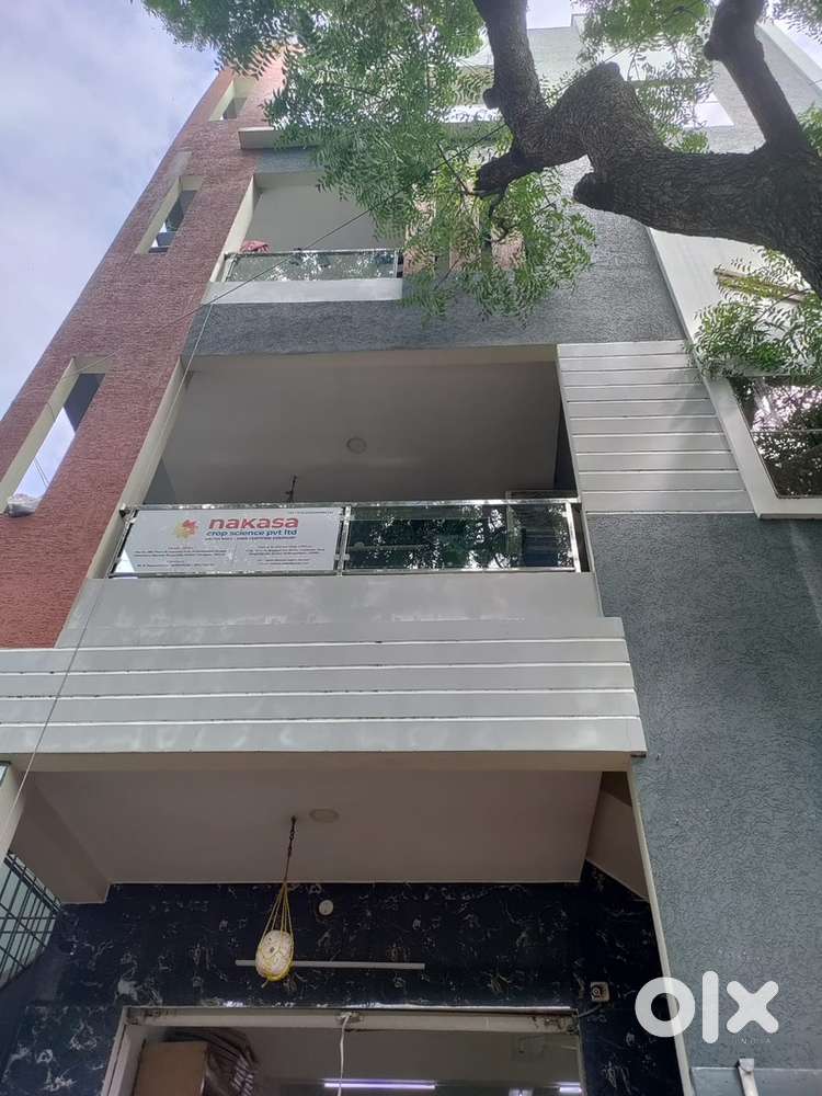 1 bhk house for rent