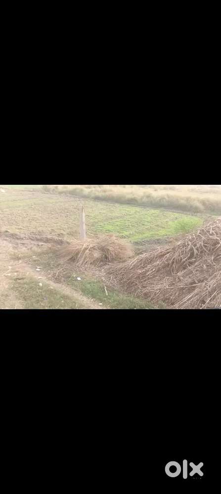 5 dukan sele karni hai