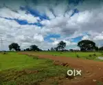 Lakhnadon seoni,me kai me 6 acre jameen bechna hain