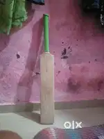 Ss cricket bat