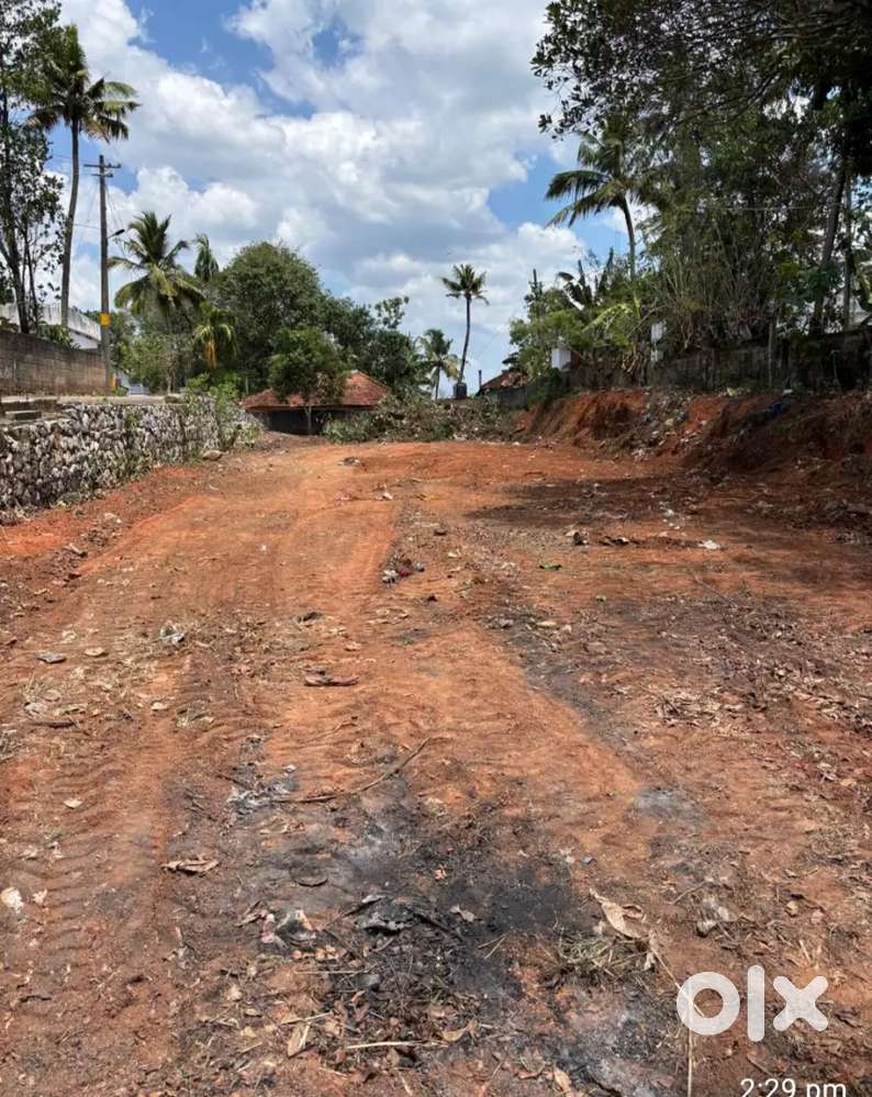 Road side chatthanoor