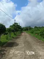 Location Bagalpur,Niali road ,Main road to 200 meters distance.