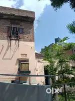 A big garden and house