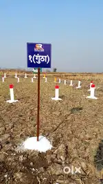 Dhamaka offer