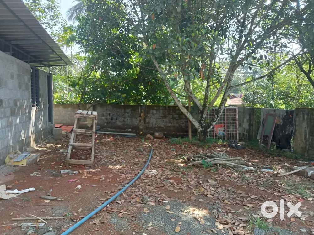 Villa plot for sale.6 cent.panchayat road front.highway 2 km.angamaly