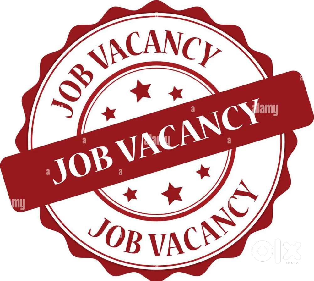 Advisor customer handling line incharge