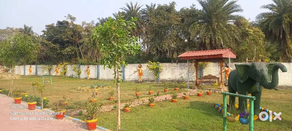 Plot bungalows